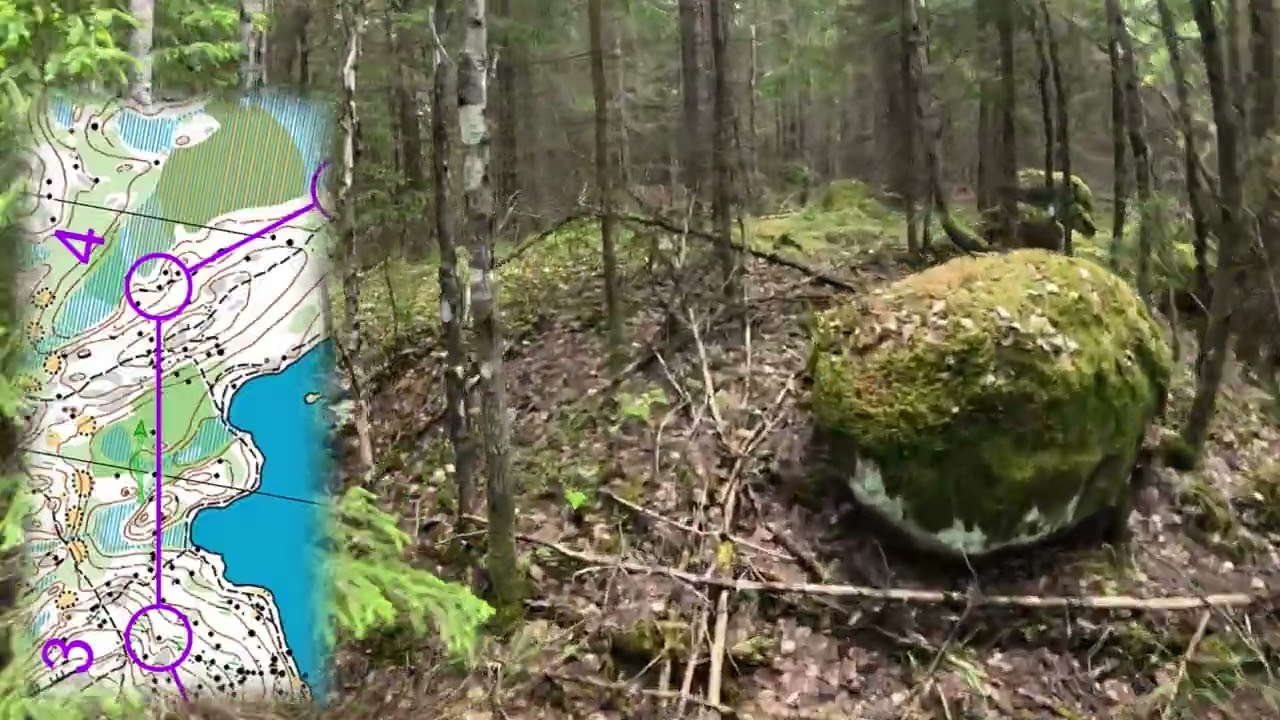 Helsinki O-Games  7.6.2025, D 55, 3,6 km Espoo Nuuksio