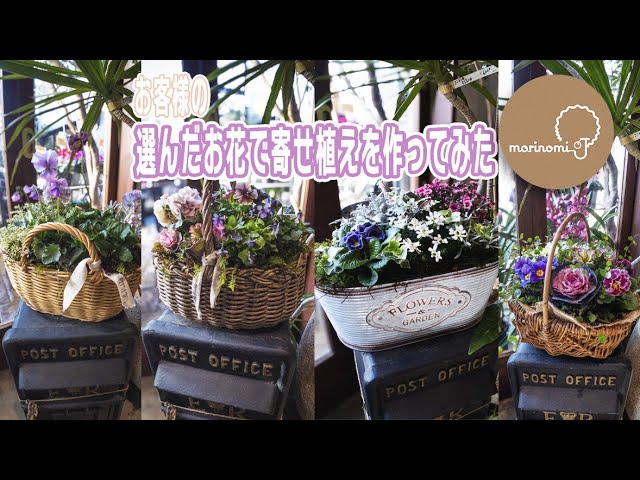 寄せ植え】2026年もどうぞよろしくお願いいたします【寄せ植え専門