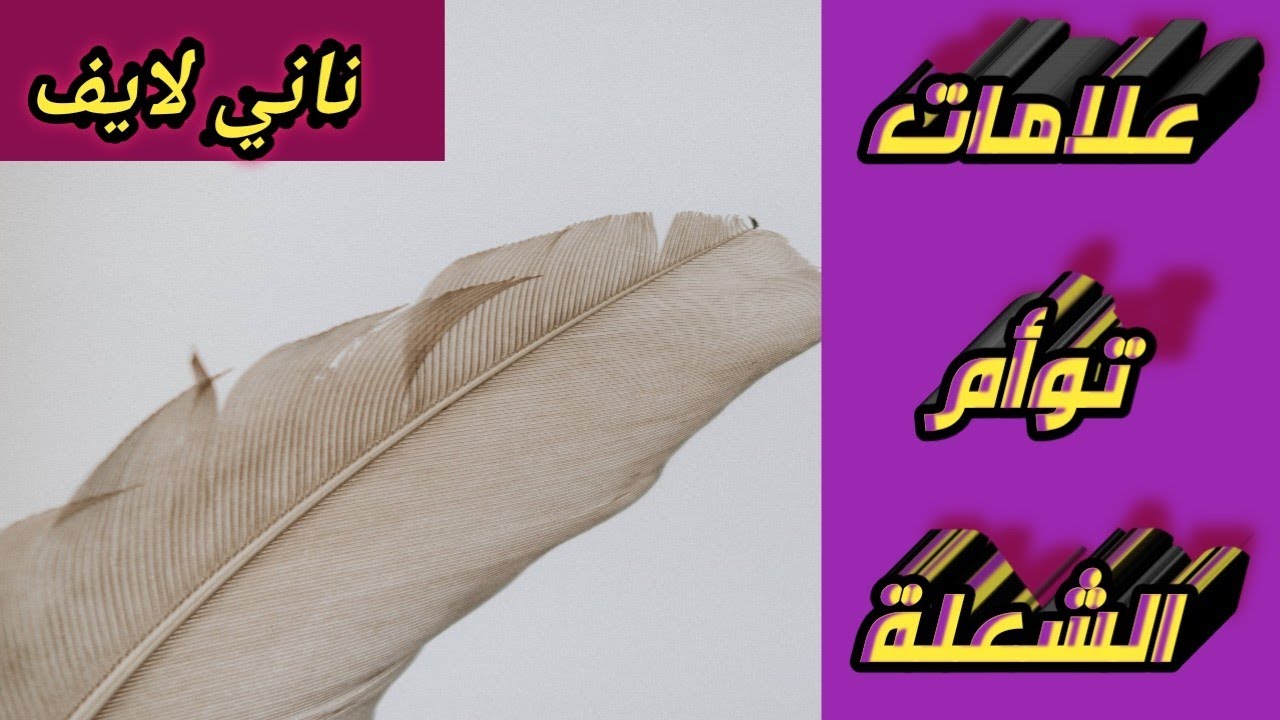 هل إنت في #علاقة#توأم#شعلة #علامات توأم الشعلة