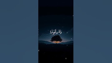 راحة و طمأنينة القارئ : أحمد دياب #قرآن #أحمد_دياب #المصحف