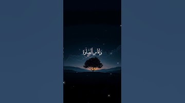 راحة و طمأنينة القارئ : أحمد دياب #قرآن #أحمد_دياب #المصحف