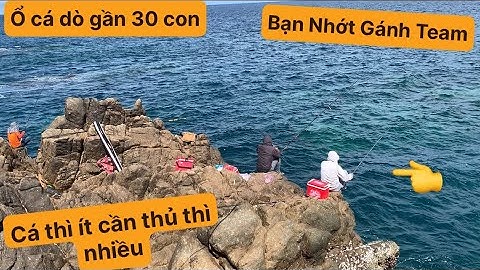 Câu Cá Biển Tự Nhiên, Câu Ghềnh, Hòn Sẹo Nhơn Lý. TÝ FISHING ( Vietnamese fishing ).