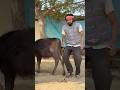 Ye Kya Churana Par raha Hai ￼😂 #short #priyakumari #comedy #funny