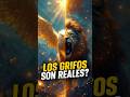 EL GRIFO ES REAL? ¡La Verdad Sobre Esta Criatura Legendaria! 🦅🦁