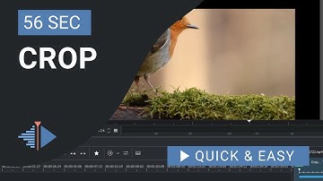 Kdenlive Tutorial: How to Crop in Kdenlive