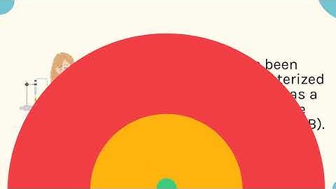 bEnd-3 Transfection Reagent