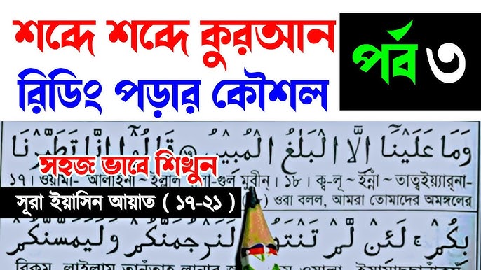 Qattiq fotosuratlardagi mushuklar