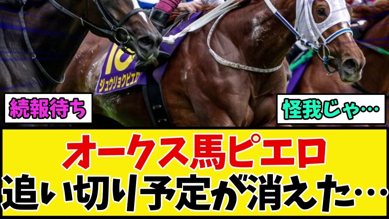 秋華賞2026】オークス馬ジュウリョクピエロ、追い切り予定日に馬場入り
