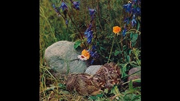 Arv & Miljö - Himmelsvind (Side A EXCERPT)