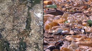 Once-Beautiful Lake Is Now Blanketed in Garbage