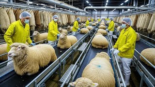 How Wool Sweaters Are Made: From Sheep to Store (Factory Tour)