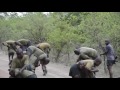 Training with rangers at Malilangwe in Zimbabwe