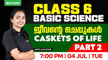 Class 6 Basic Science | Chapter 1 - Caskets of life / ജീവന്റെ ചെപ്പുകൾ Part - 2 | Xylem Class 6