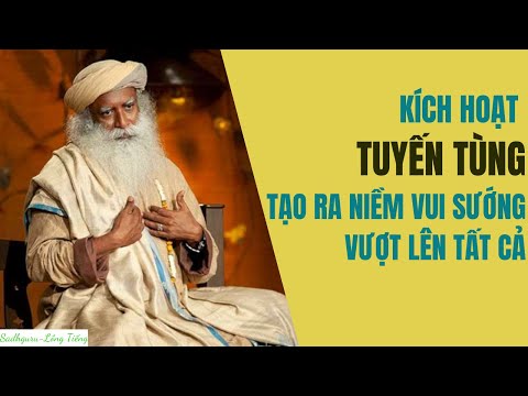Video Khai Mở Tuyến Tùng Sẽ Đạt Được Niềm Vui Sướng Vượt Lên... - youtube