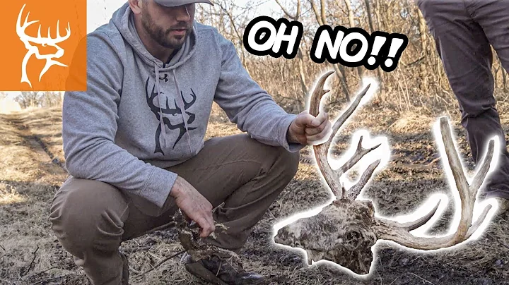 We found a GIANT BUCK DEAD | 22 Sheds in 4 HOURS | E3 Ranch Shed Hunt