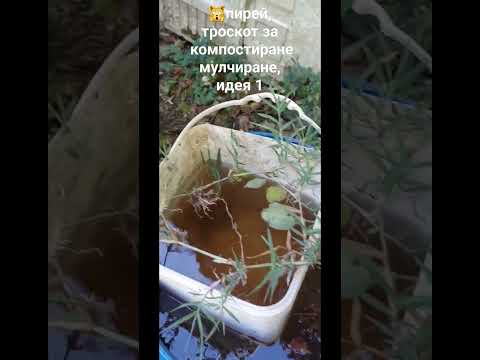 Видео: Ползи за мулчиране на компост - Как да използвате компост за мулчиране в градини
