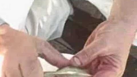 How to open a quahog