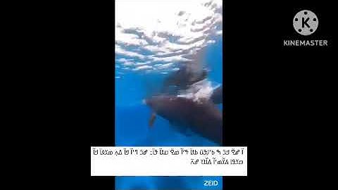 سورة الفرقان 45-77 (ߝߊߙߊ߲ߝߊߛߌ  ߄߅-߇߇ )