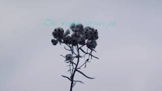 The Rhododendron Song