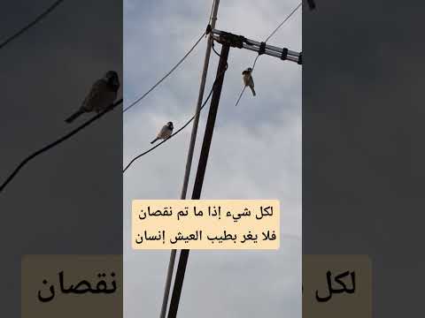 قال الشاعر العربي لكل شيء إذا ما تم نقصان فلا يغر يطيب العيش إنسان 