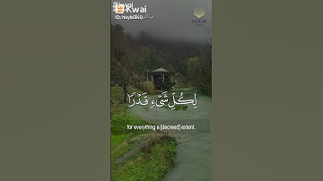 سورة الطلاق ) وَمَن يَتَوَكَّلْ عَلَى اللَّهِ فَهُوَ حَسْبُهُ ۚ إِنَّ اللَّهَ بَالِغُ أَمْرِهِ ۚ
