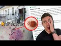 WE WENT TO THE WORST RATED HOTEL IN LONDON | World's Worst Hotels