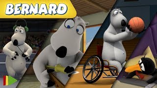 Bernard Bear Wheelchair Basketball And More 30 Min Compilation Cartoons For Kids