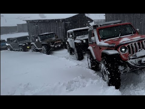 მორიგი გასვლა გოდერძის უღელტეხილზე I ნაწილი 16-17/11/2024