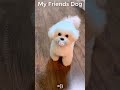 My Friends Dog vs My Dog🐶🤣20