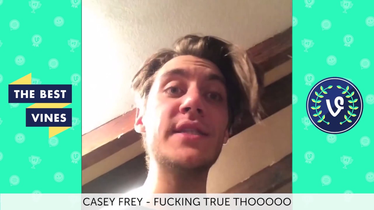 The Best Vines Compilation of November 2016 Week 1