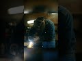 Killdozer: The Man Who Took on the System