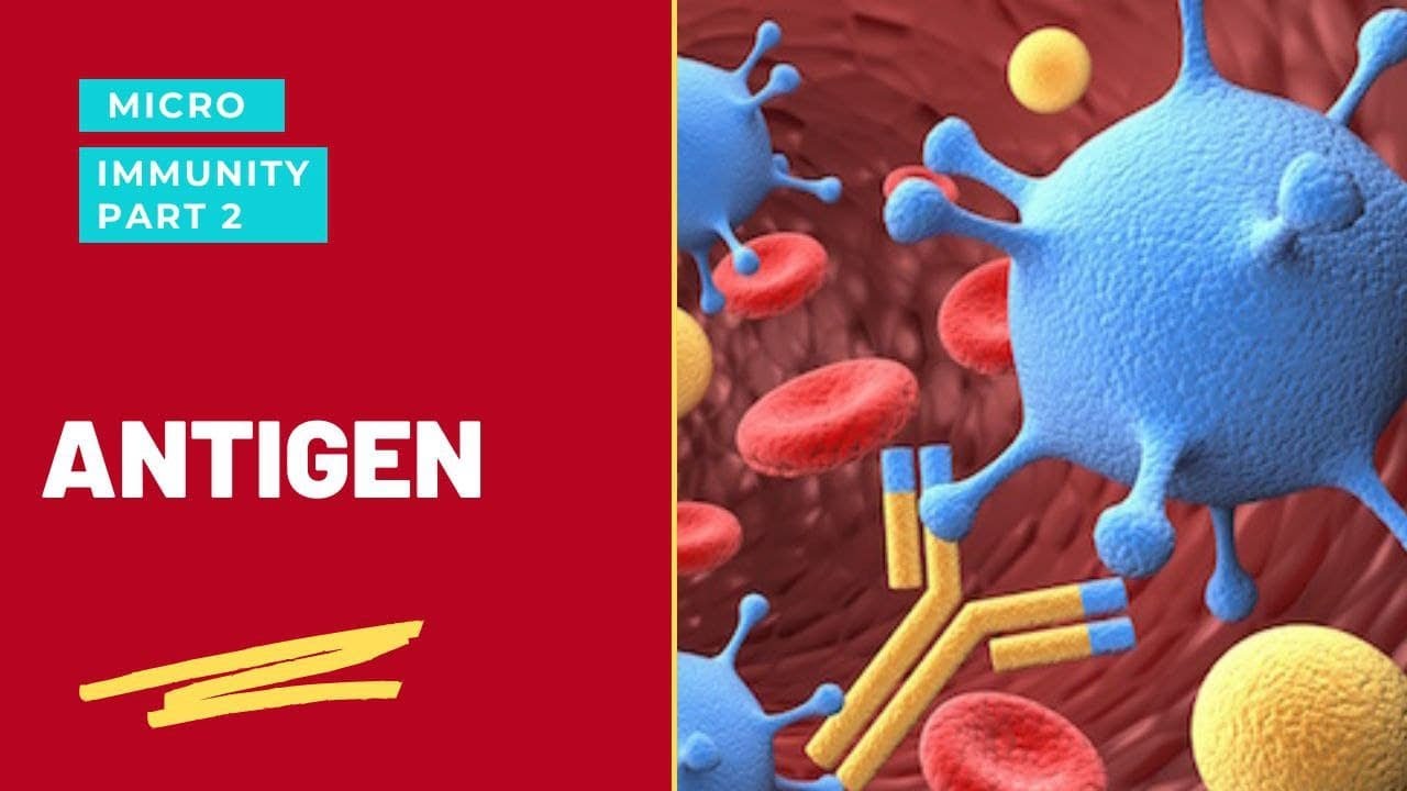Antigens, Haptens and Immunogenecity Microbiology apurba sastry