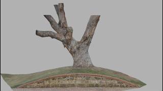 Tree 07: Low(er) poly tree and park from photoscan