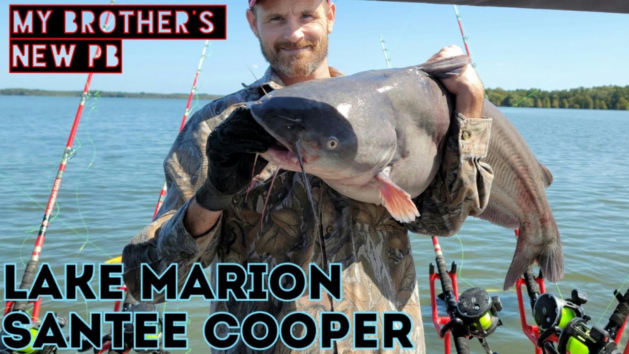 GREAT DAY OF CATFISH WITH MY BROTHER ON LAKE MARION SANTEE COOPER YouTube
