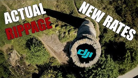 Actual Rippage - Betaflight 4.2 Actual Rates Testing - Halo RC Osiris - DJI FPV Freestyle