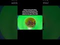 SMALL DETAILS #fnaf #securitybreach #shorts