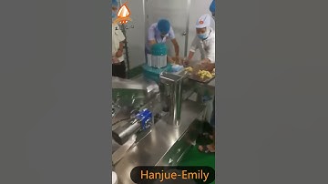 Hanjue Encrusting machine + rotary tray coating machine for mochi, mochi ice cream, daifuku