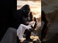 King Kong: First Kiss – Love in the Clouds”  #kingkong  #epicshowdown #viral  #vairalvideo #foryou