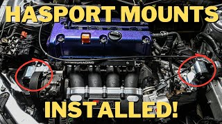 HASPORT ENGINE MOUNTS IN | K24 DC5