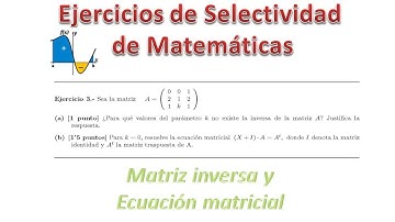 Matriz inversa y resolución ecuación matricial