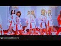 バラの果実 PVフル のコピー