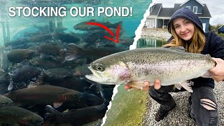We Put THESE in our BACKYARD POND! (Stocking our Bass Pond with Rainbow Trout for 2023 Ice Fishing!)