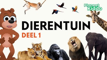 🐅 Dierentuin Dieren Leren In Het Nederlands | Voor Peuters En Kleuters | Learn Zoo Animals in Dutch