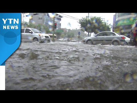 [날씨] 오늘도 중부 많고 강한 비...추가 피해 우려 / YTN