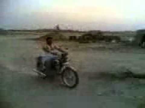 الحيط يا جحش