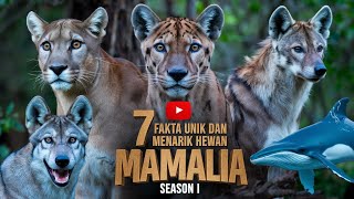 [SEMUA EPISODE] 7 FAKTA UNIK DAN MENARIK HEWAN MAMALIA SEASON I