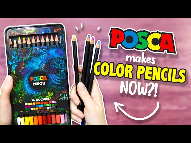 95$.. For THESE?? - Testing Fancy POSCA COLOR PENCILS - Are they Worth it?  