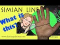 The Simian Line and Other Palm Lines Explained Palmistry Lesson by Sari Puhakka