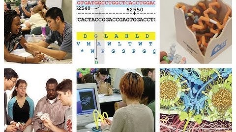 Center for BioMolecular Modeling