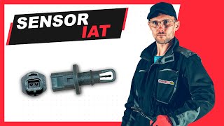 💥 SENSOR IAT | QUÉ ES, UBICACIÓN, FUNCIONAMIENTO Y FALLAS